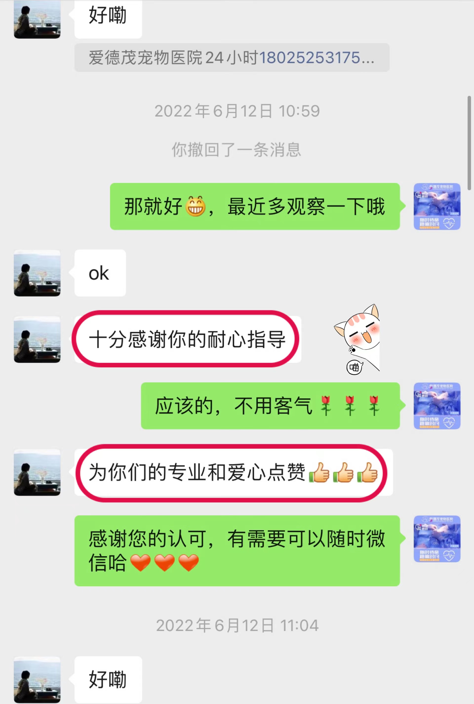 狗