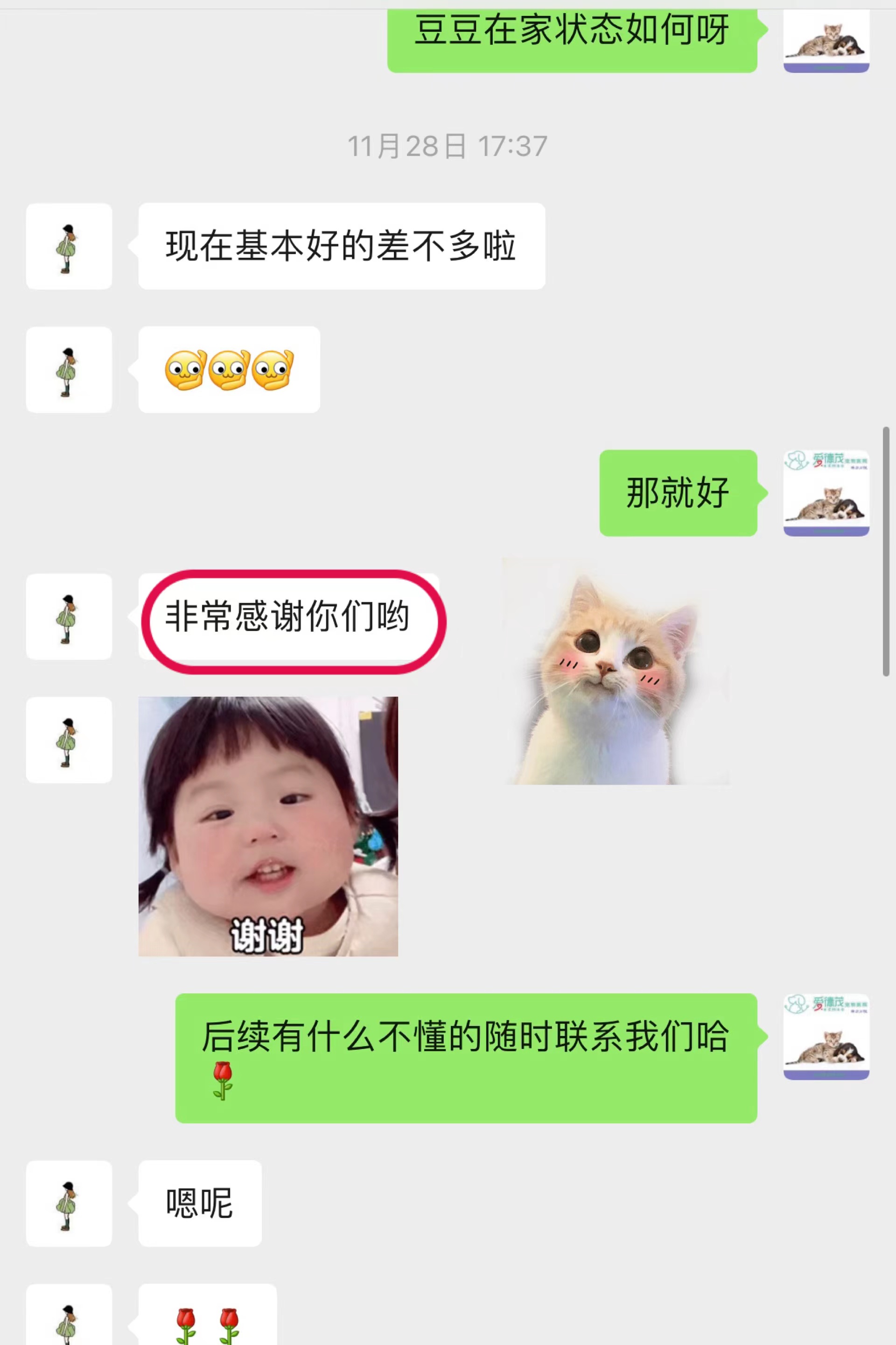 狗