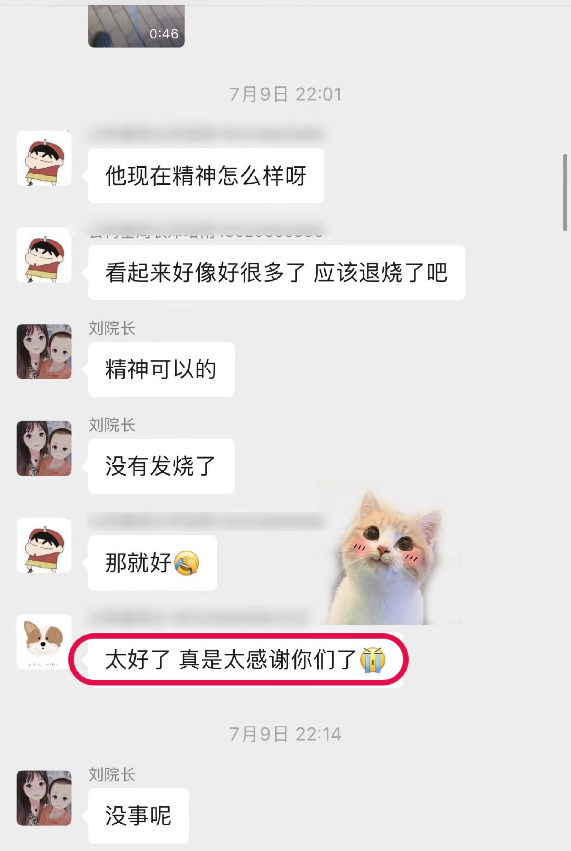 狗