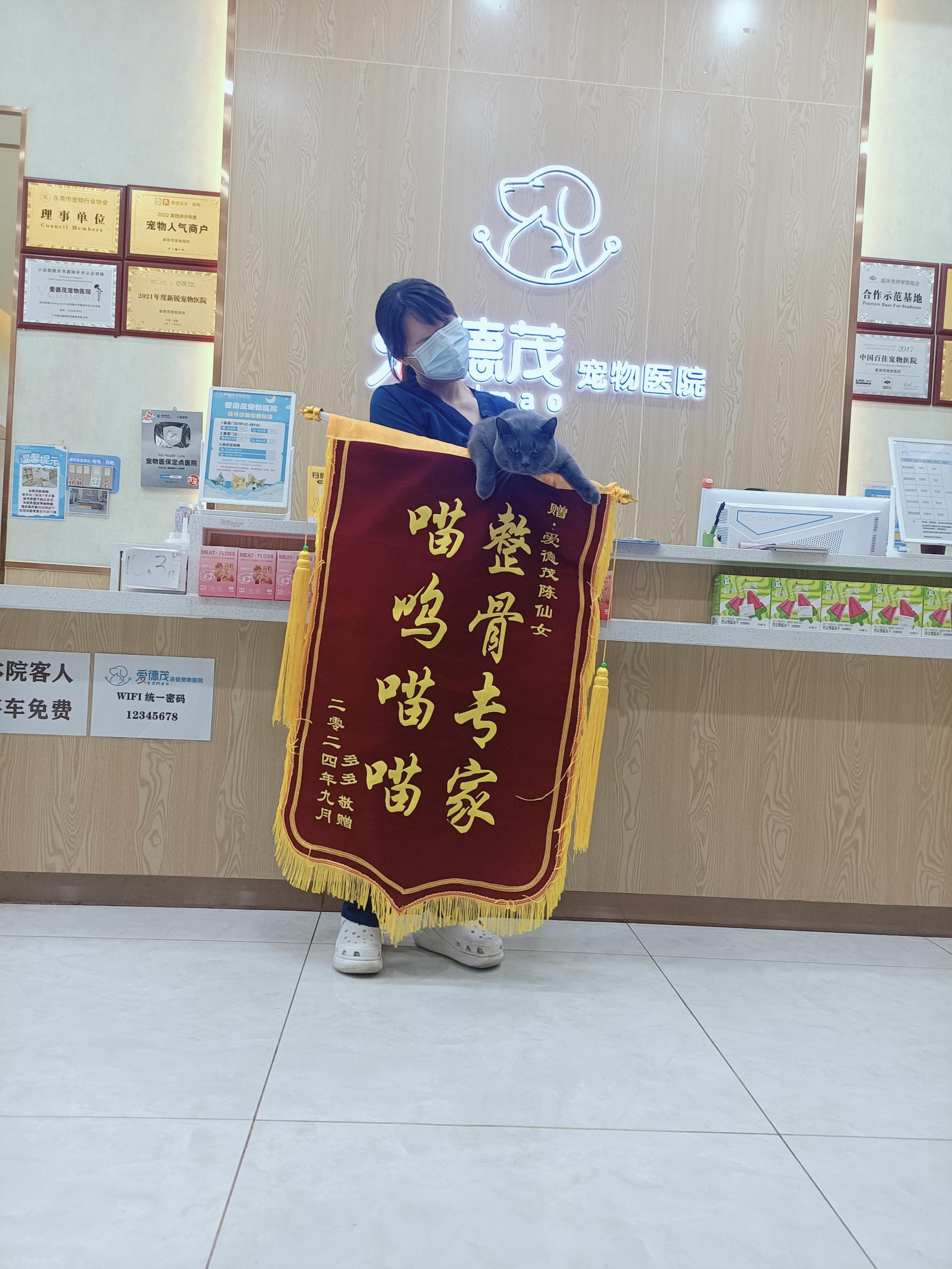 宠友口碑