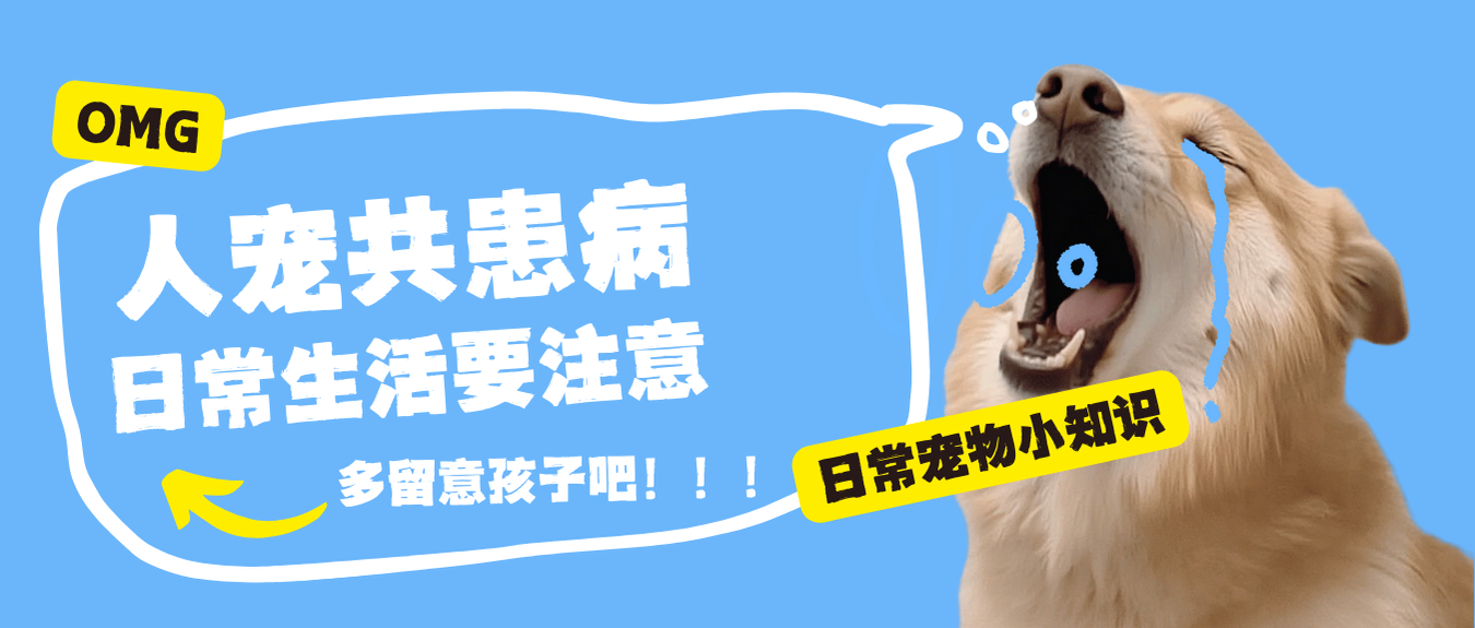 人宠共患病|日常生活要注意