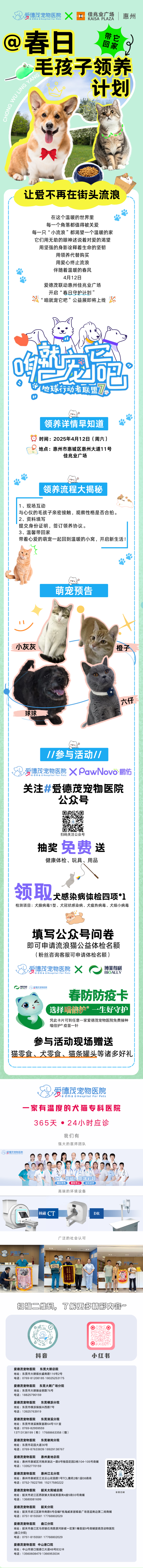 毛孩子春日守护计划1.png