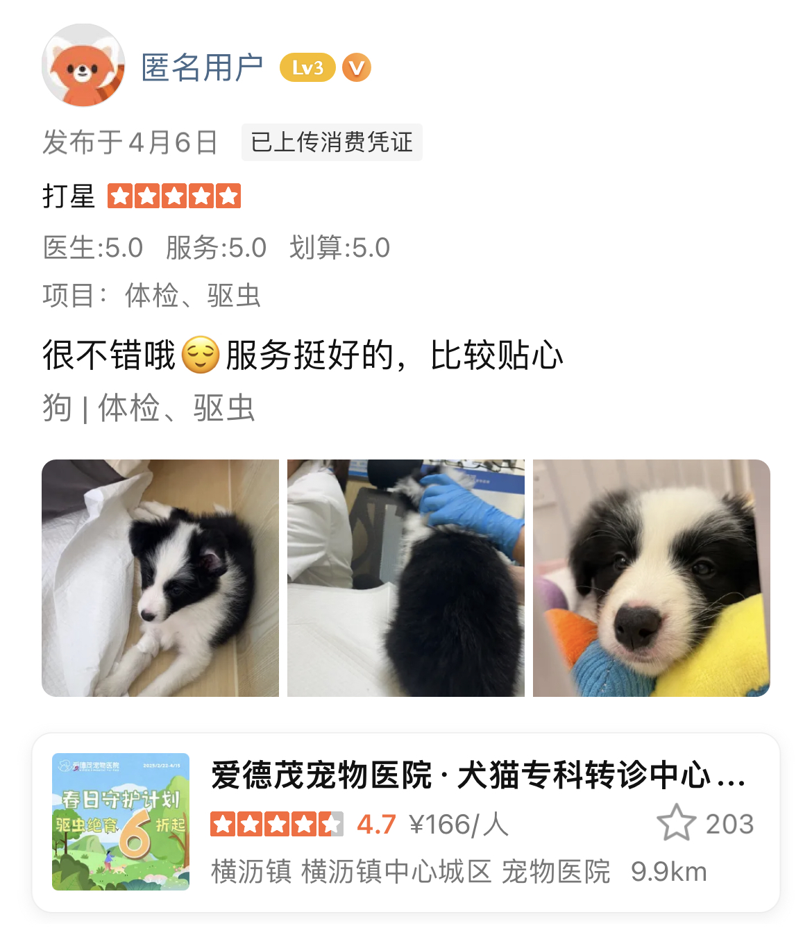 驱虫