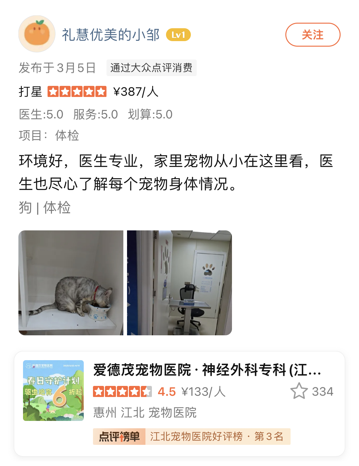 体检