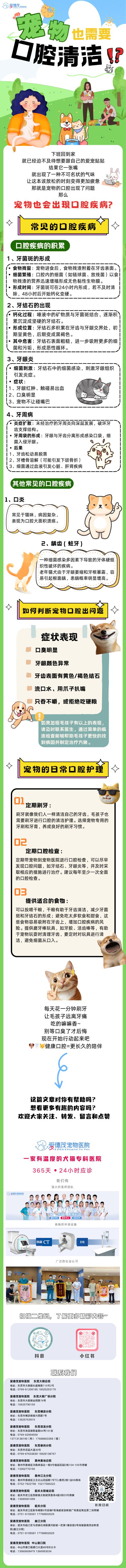 绿色扁平插画露营活动手机长图 (1).png