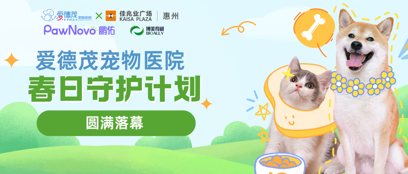 活动回顾|【爱德茂春日守护计划】圆满落幕?
