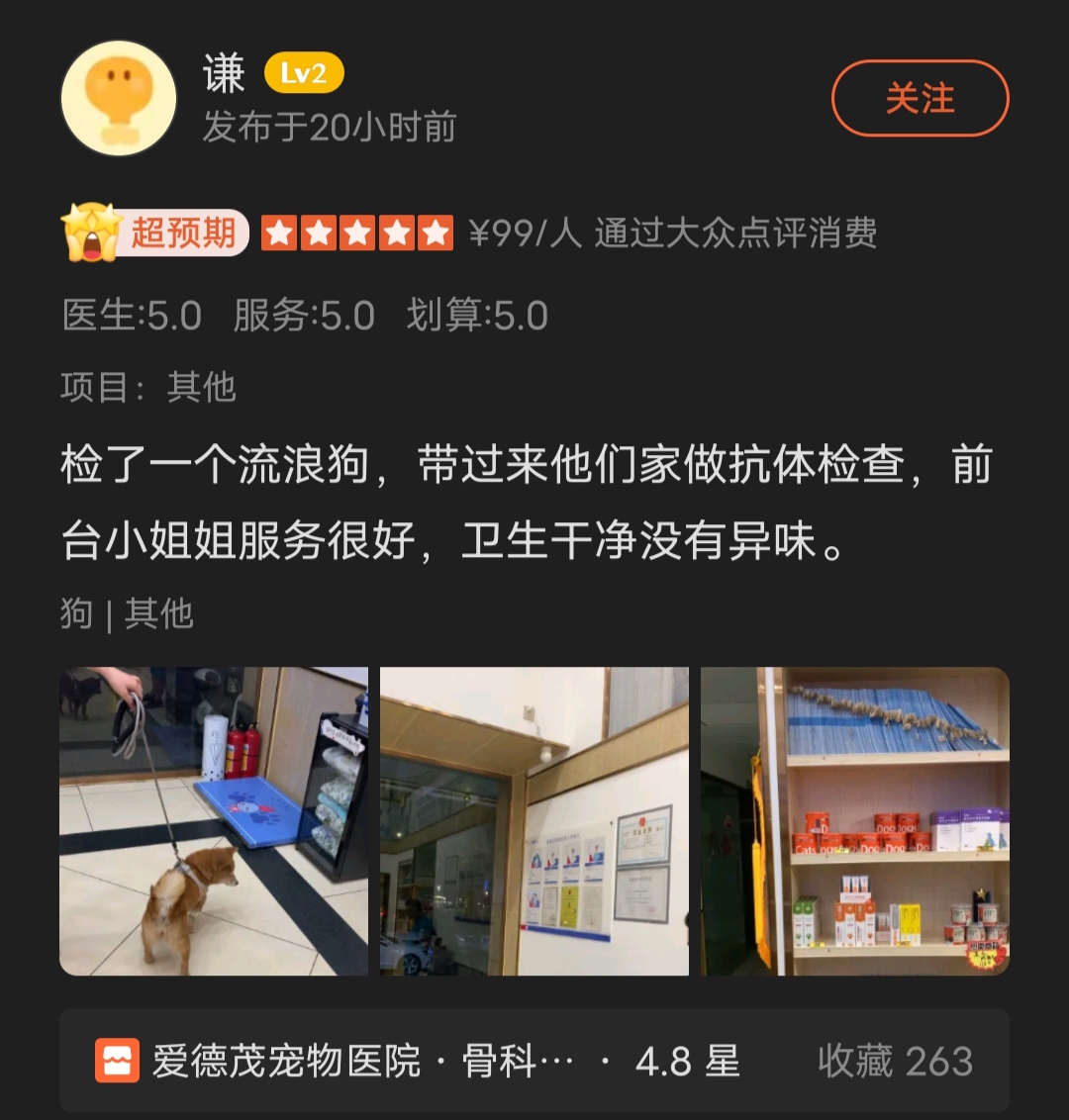 体检