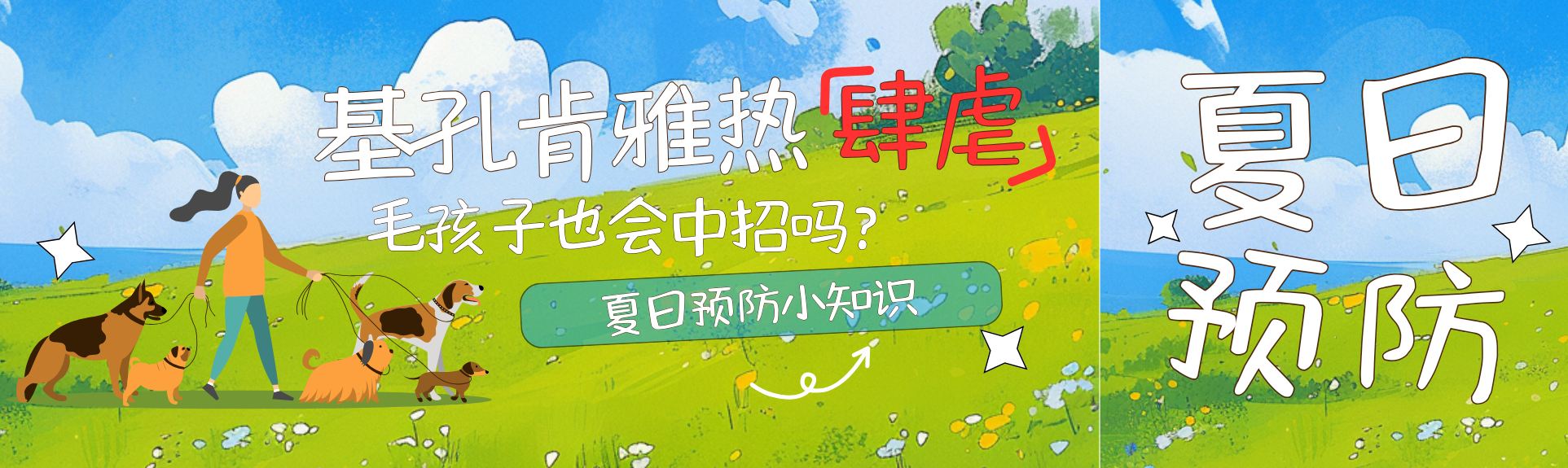 宠友口碑