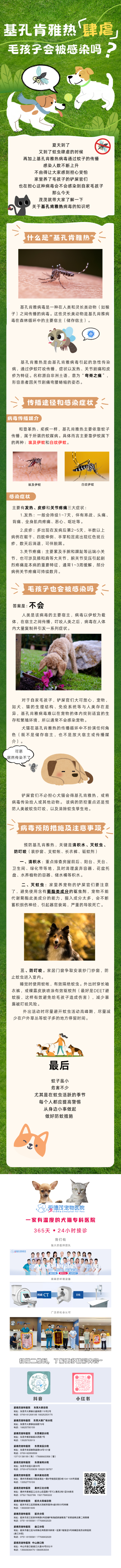 绿米色卡通手绘萌宠派对宠物活动长图1.png
