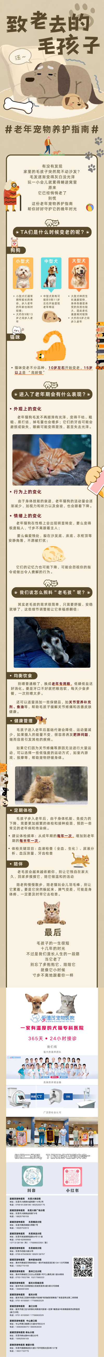 棕色可爱插画风宠物领养宣传长图 (1).png