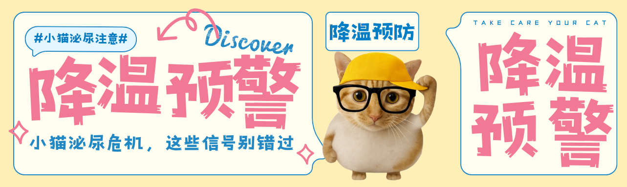 降温警告|小猫泌尿危机