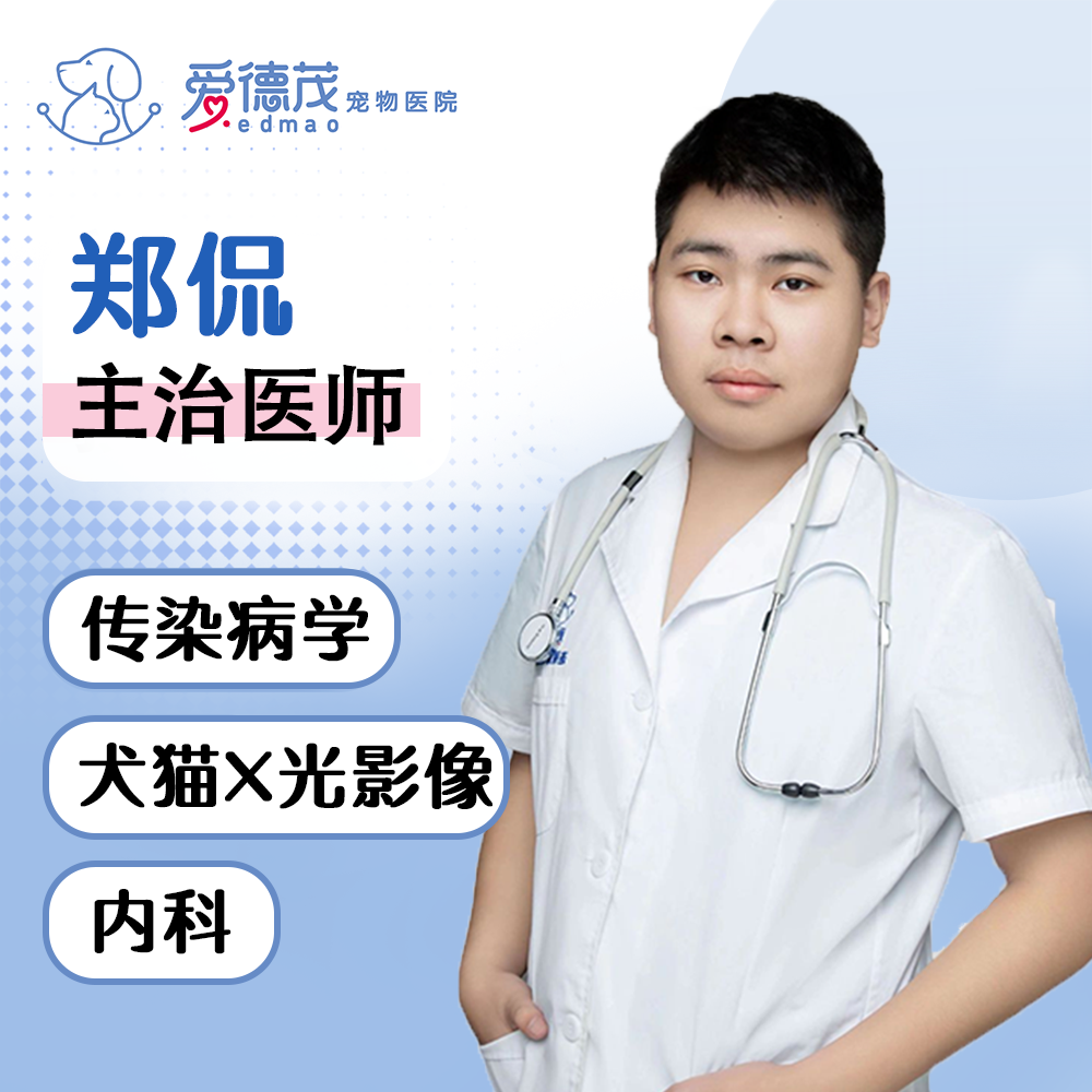 主治医师 - 郑侃