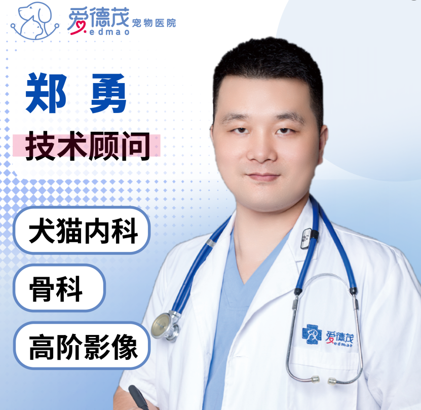 技术院长 - 郑勇