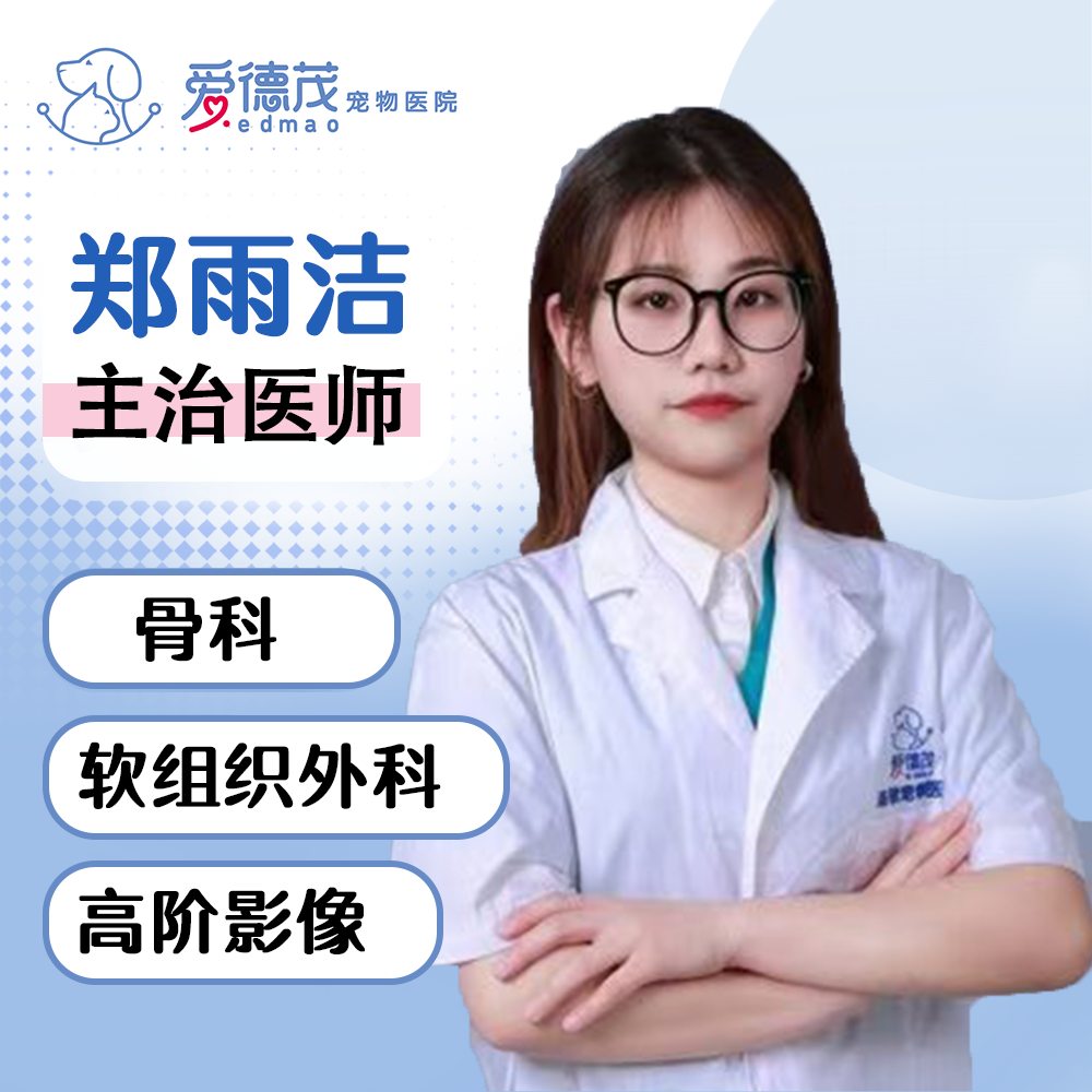 主治医师-郑雨洁