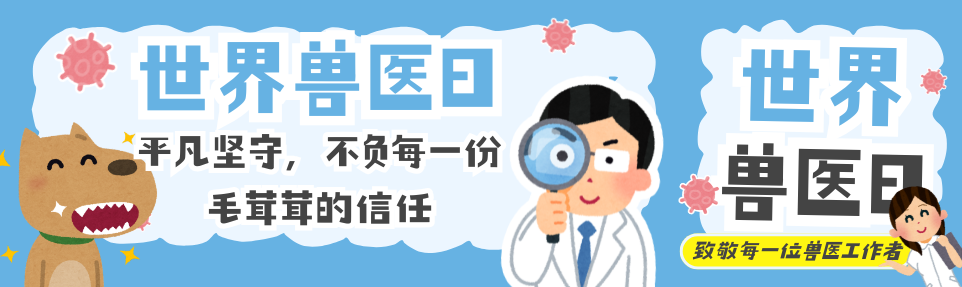 世界兽医日