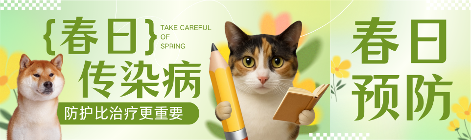 春日传染病预防