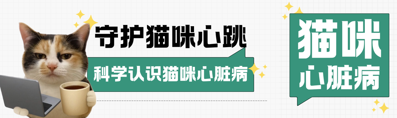 守护猫咪心跳