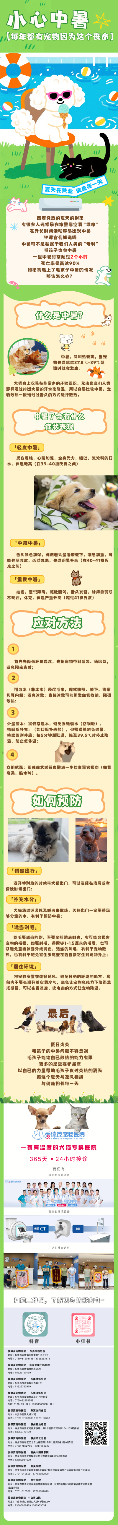 绿蓝黄色简约趣味扁平插画风夏日宠物集市活动宣传长图 (1).png